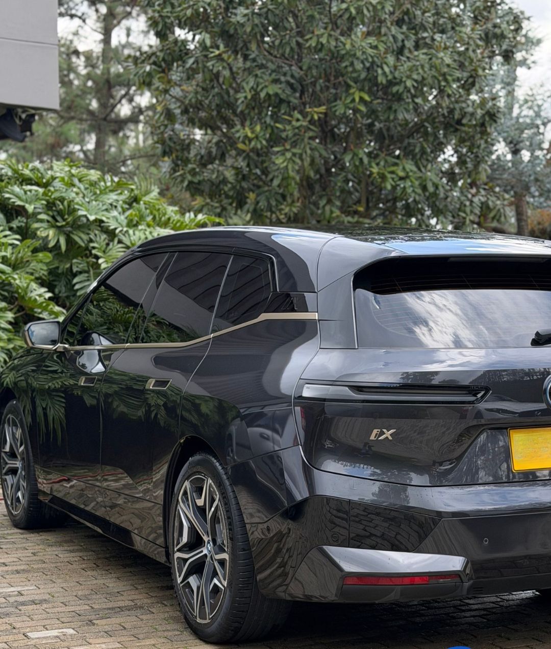 BMW iX gris oscuro con la pintura reflejando las plantas