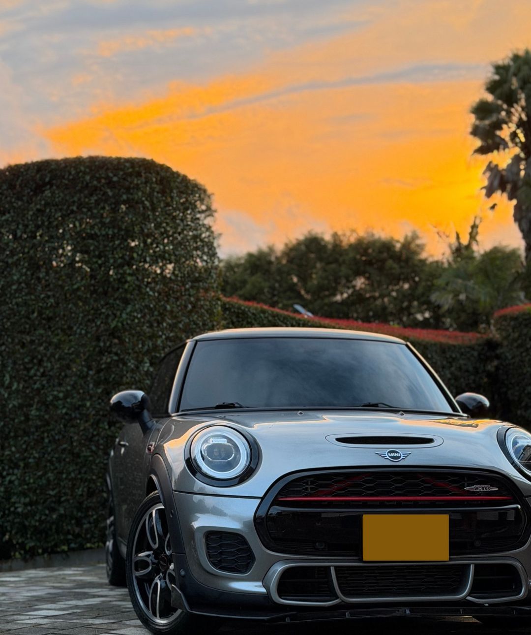 Mini John Cooper Works gris recién detallado frente a un seto, al atardecer